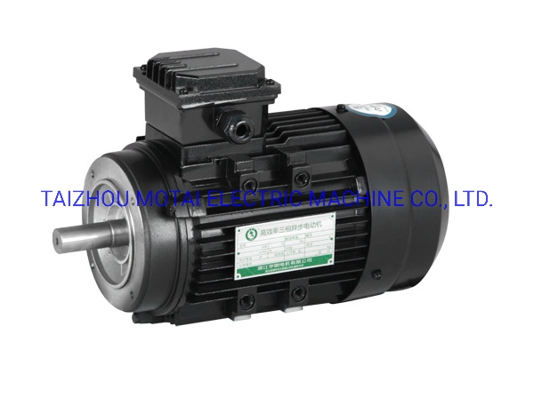 MS Series Aluminium Body Three Phase Asynchronous Motor with Excellent Performance