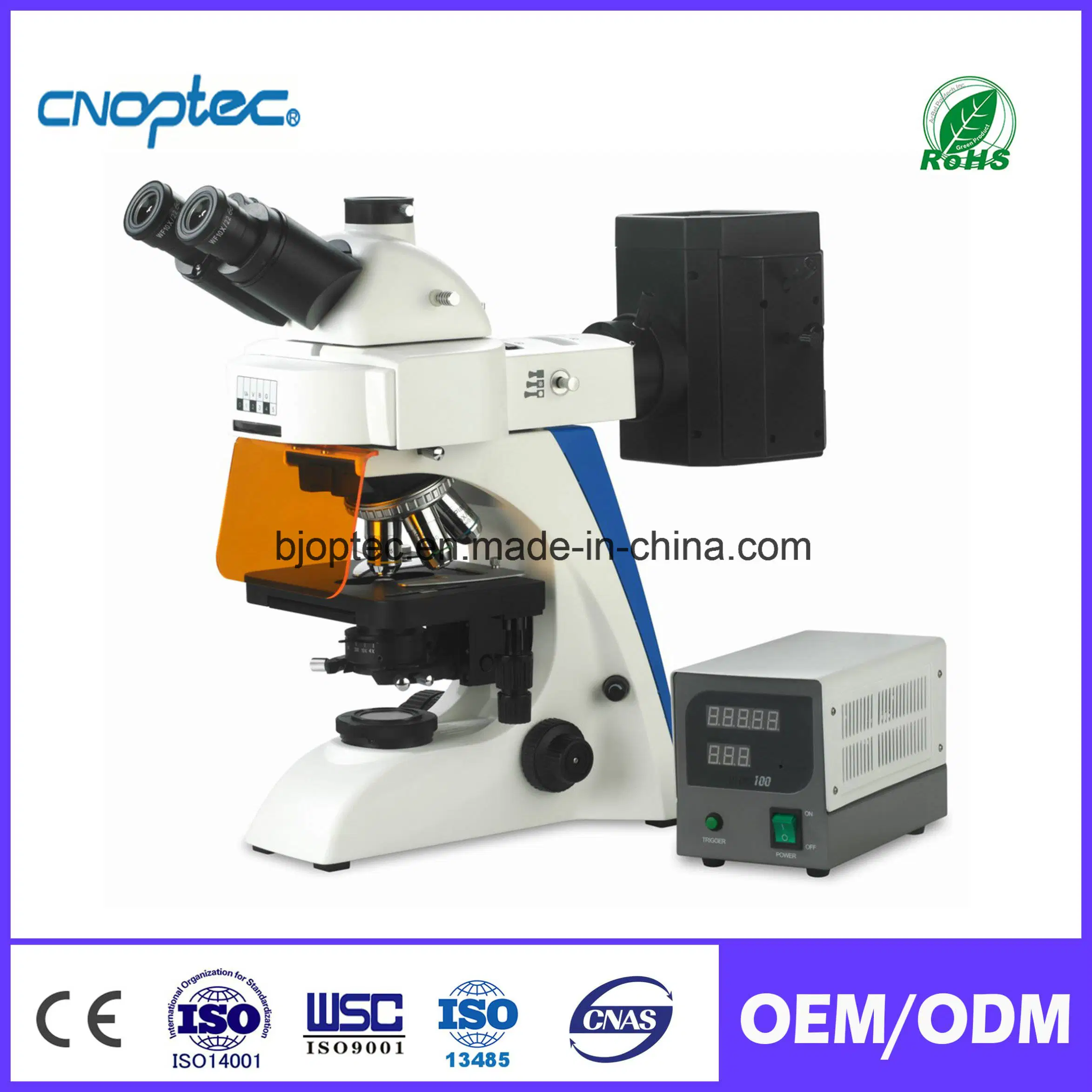 Upright Fluorescence Microscope Biological Microscope for Medical Instrument