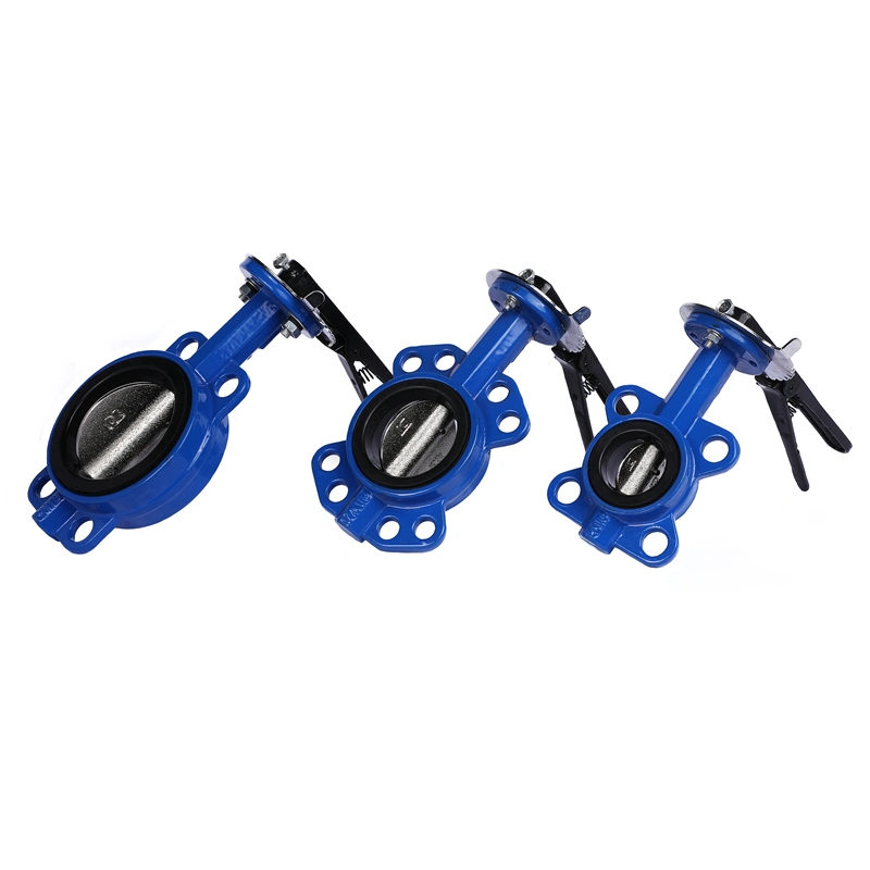 Top Product High Quality OEM ODM Factory Cast Iron Butterfly Valve