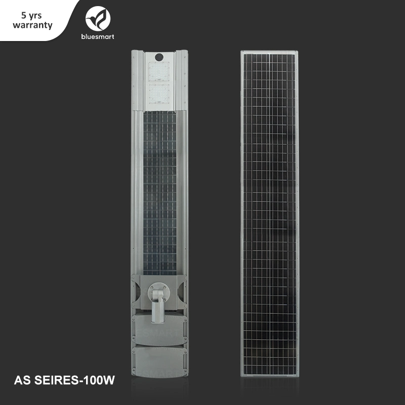 Bluesmart Solar Products LED Street Lighting System with Motion Sensor