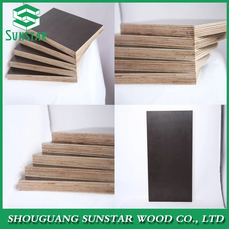 Construction Used Film Faced Plywood /Marine Board