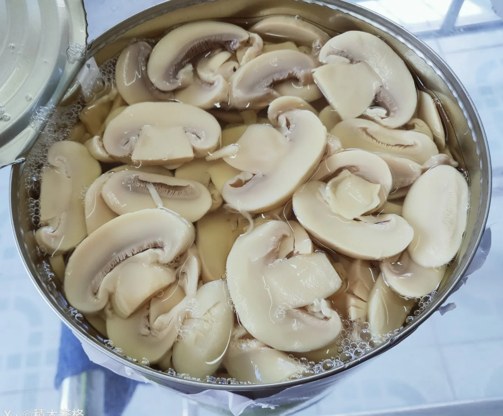 Healthy Food Canned Fresh Mushroom Whole/Slices