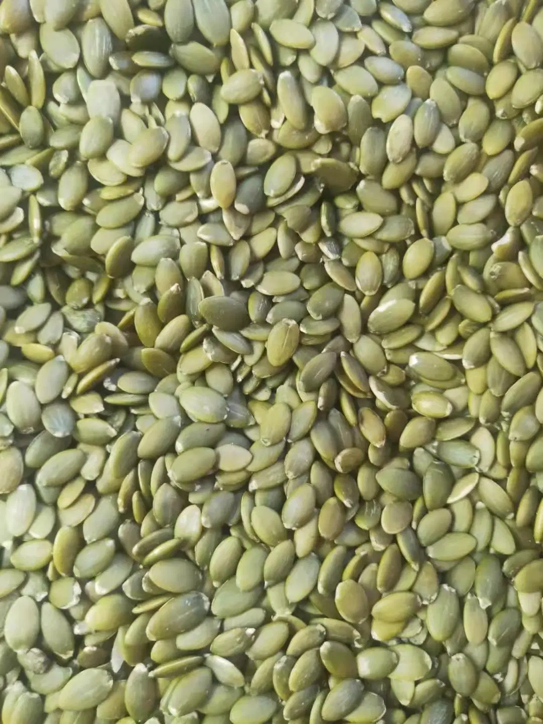 AAA/AA Grade Green Pumpkin Seed Kernel Shine Skin