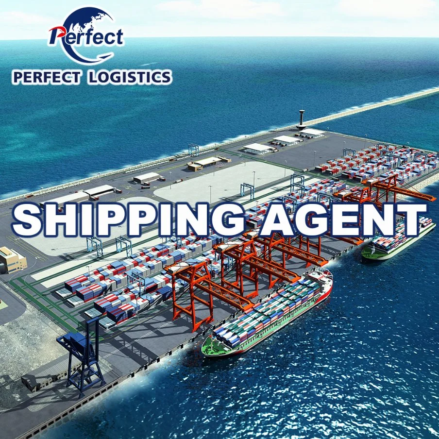 Lowest Price Freight Forwarder DDP Sea Freight Shipping China to UK/ Germany/ France/ Spain/ Italy