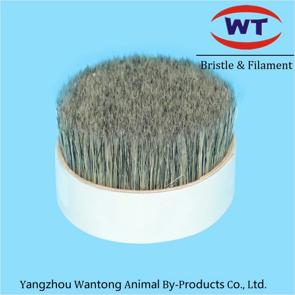 China Pure Bristle Pig Hair Hog Mix Synthetic Monofilaments Manufacturer