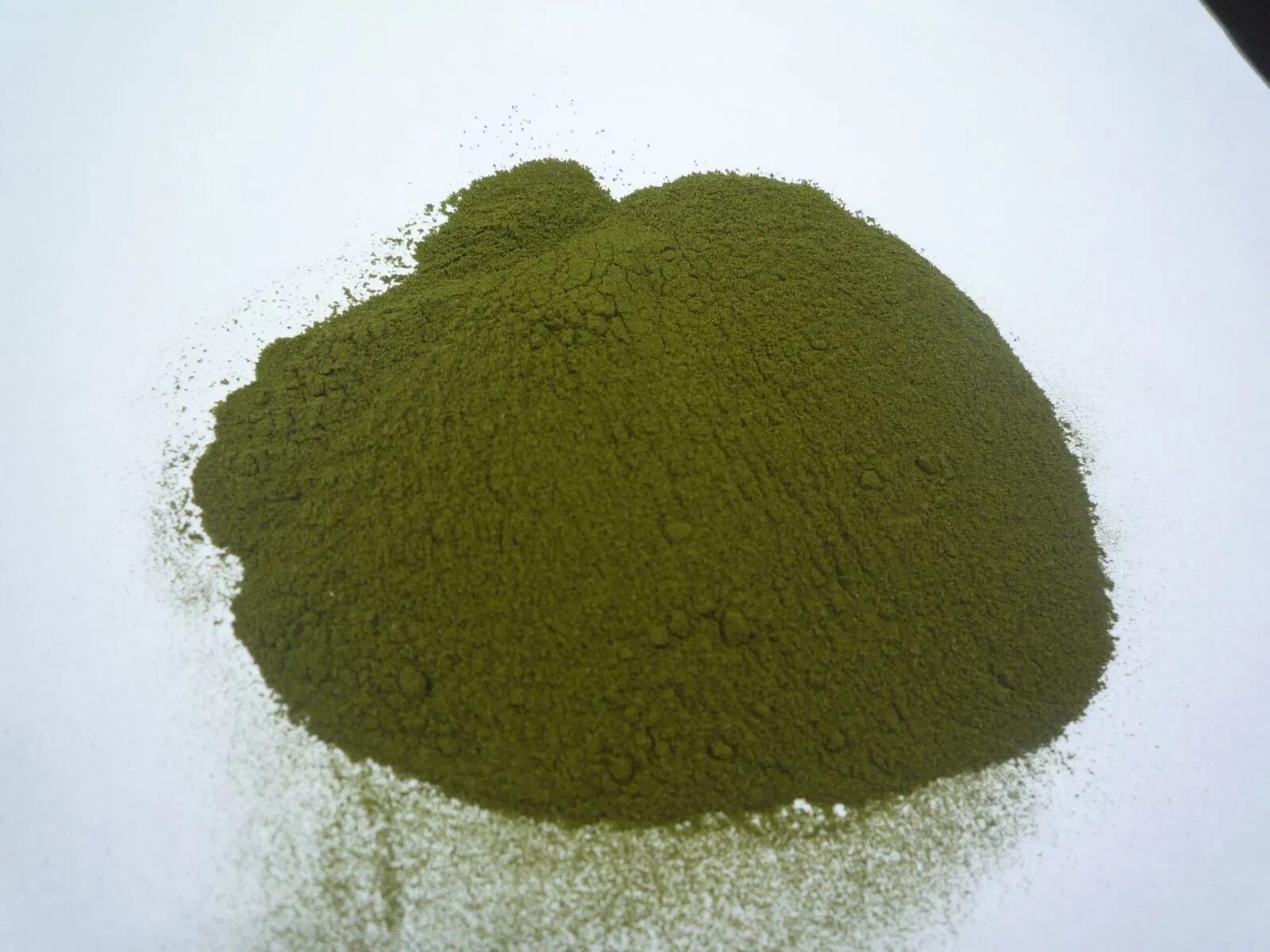 Competitive Price Wheat Grass Powder/ Wheat Grass Juice Powder