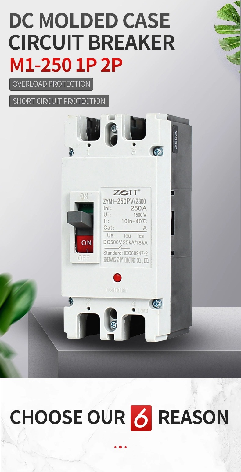 Zoii Molded Case Circuit Breaker MCCB Electric Circuit Breaker 500V 1000V