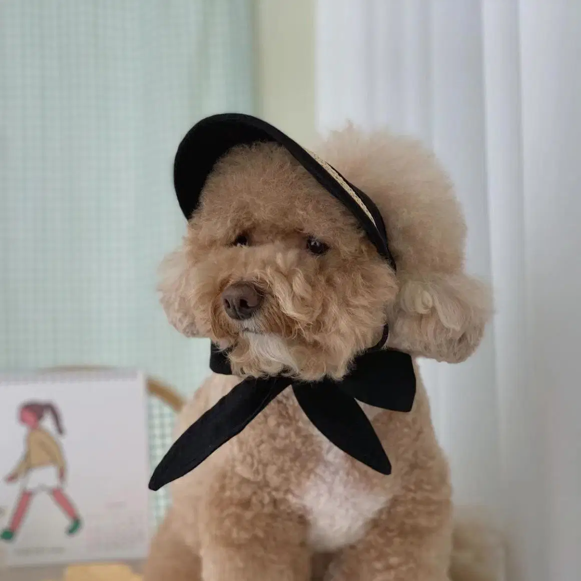 Sombrero de perro Protección de sol sombrero de visera estilo pastoral mascotas Accesorios