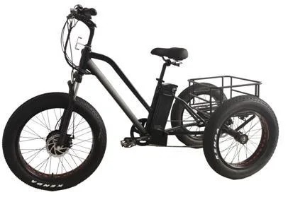 Scooter électrique de modèle fabriqué pour les sports, vélo électrique pour adultes.