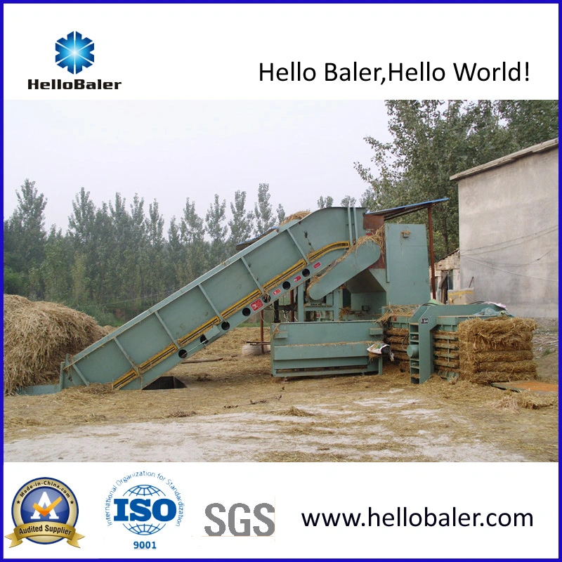 Removable Semi-Auto Hydraulic Horizontal Straw Baler (HMST3-3)