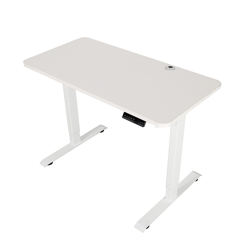 Stainless Steel Metal Electric Sit and Stand Desk Motorized Table