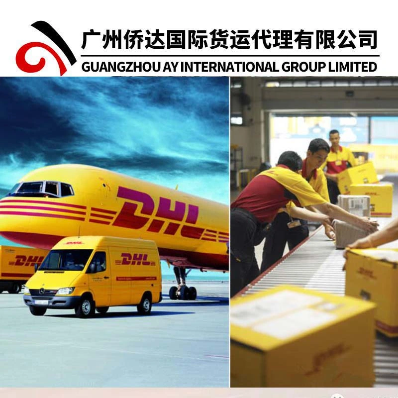 Professional DHL/FedEx/UPS/TNT Shipping Agent From China to Worldwide