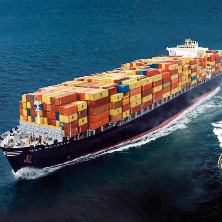 Ocean Freight/Shipping Service/ Logistics / Shipping Forwarder From China to Lazaro Cardenas