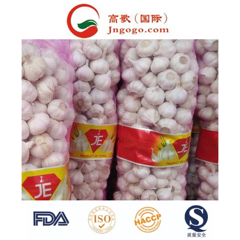 New Crop First Quality Fresh Garlic Supplier (4.5cm, 5.0cm, 5.5cm)