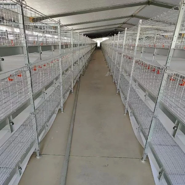 Ingénieur de structure en acier de construction préfabriqués ferme avicole pour le poulet