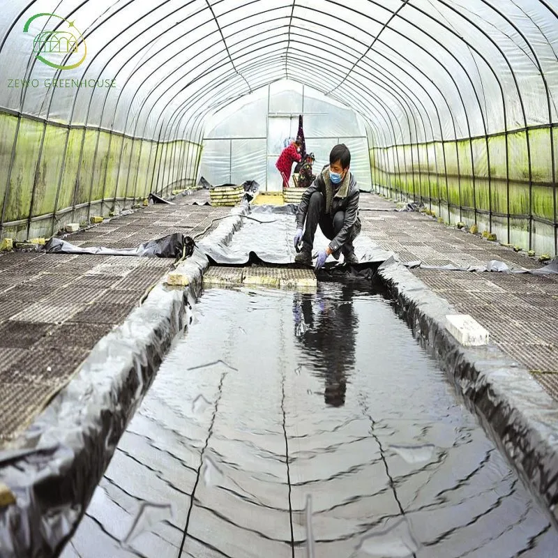 Hot Sale High-Quality Single Span Commercial Tunnel Plastic Film Greenhouse for Sale