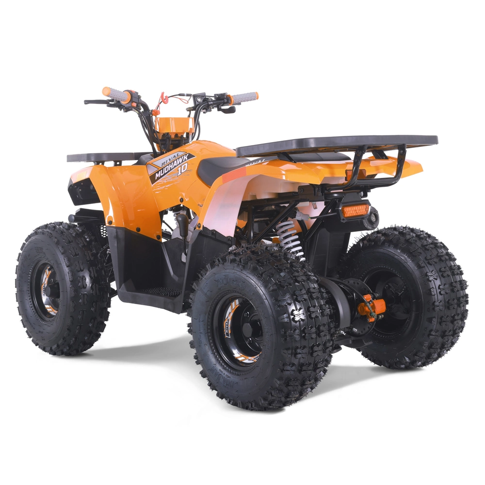 Hot Sales Quad Bike 125cc ATV mit EPA CE