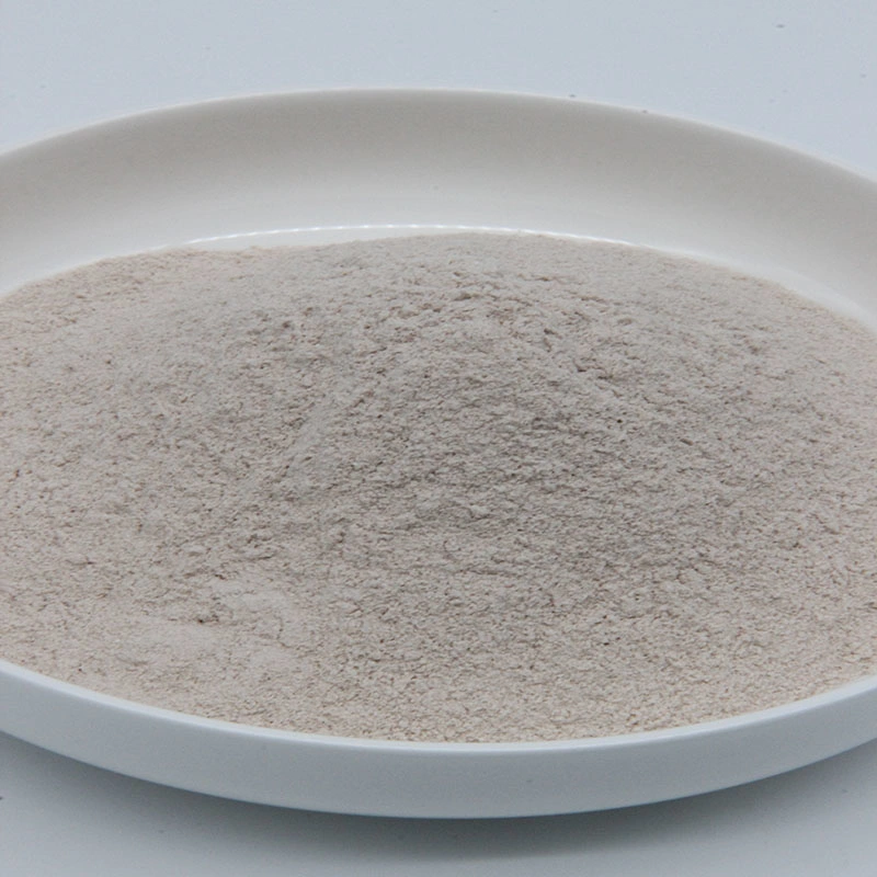 Super Quality Feed Additive Clostridium Butyricum Probiotics Powder for Animal