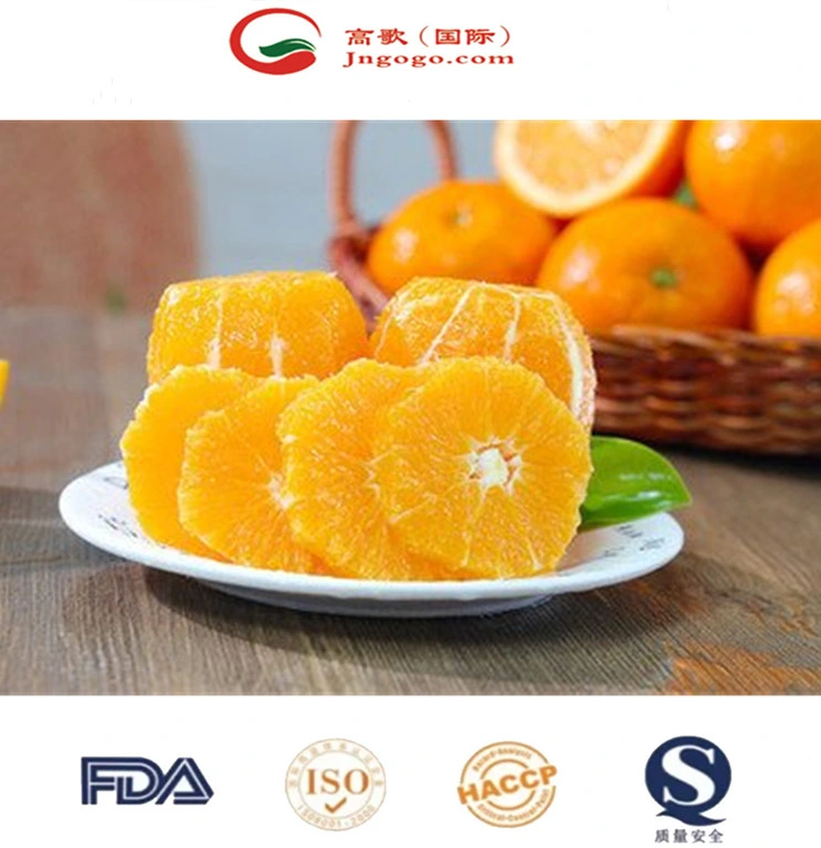 China New Crop Fresh and Sweet Lane Late High Brix Navel Orange