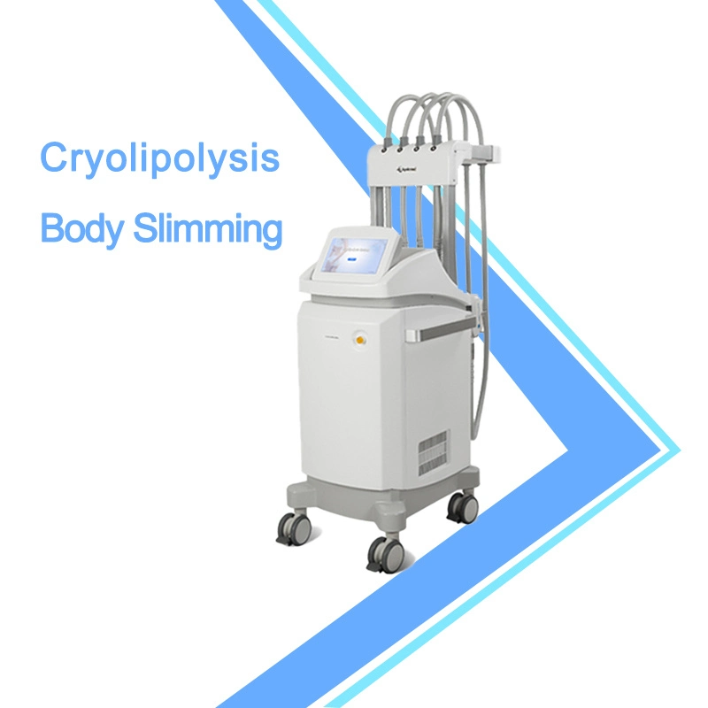 Потеря веса новой технологии Cryolipolysis Похудение Lipo лазер для коммерческих