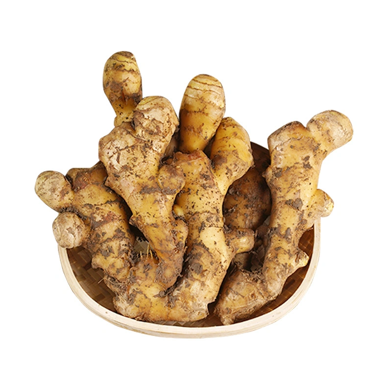 Vietnam Fresh Ginger Ginger Powder Dry Ginger - Vietnam Spices - Ginger Exporter