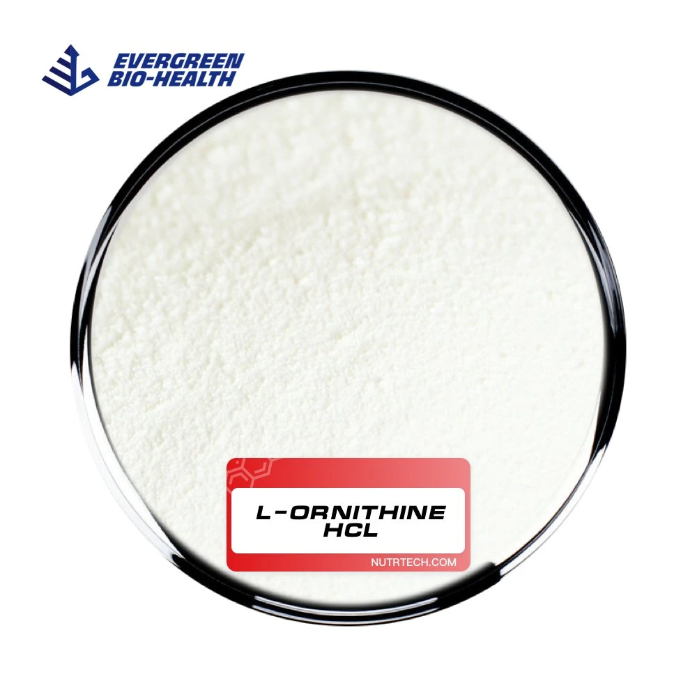 L-Ornithine Hydrochloride Nutritional Supplements L-Ornithine HCl with Low Price