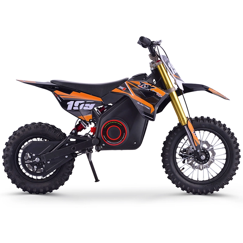 Electric Dirt Bikes Kids Toys 36V 1000W New Arrial