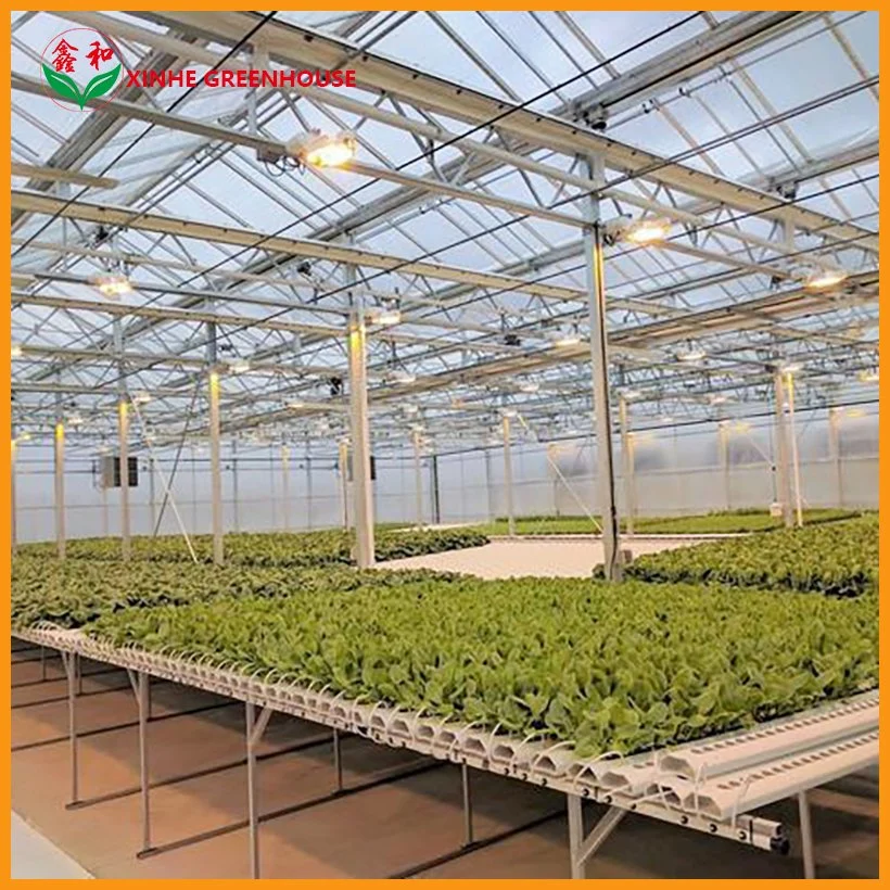 Xinhe Cheap Agriculture Multi-Span Glass Greenhouse with Hydroponic System