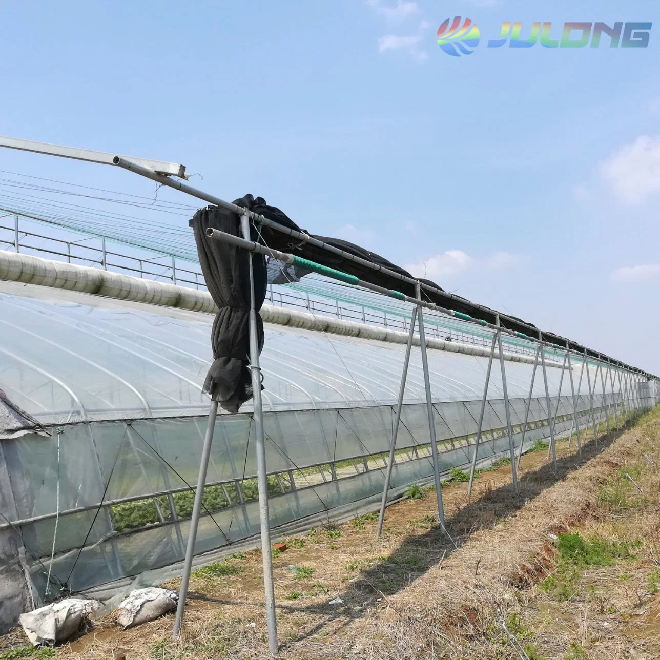 Low Cost Elliptical Tube Assembled Pofilm Cover Solar Greenhouse for Sale