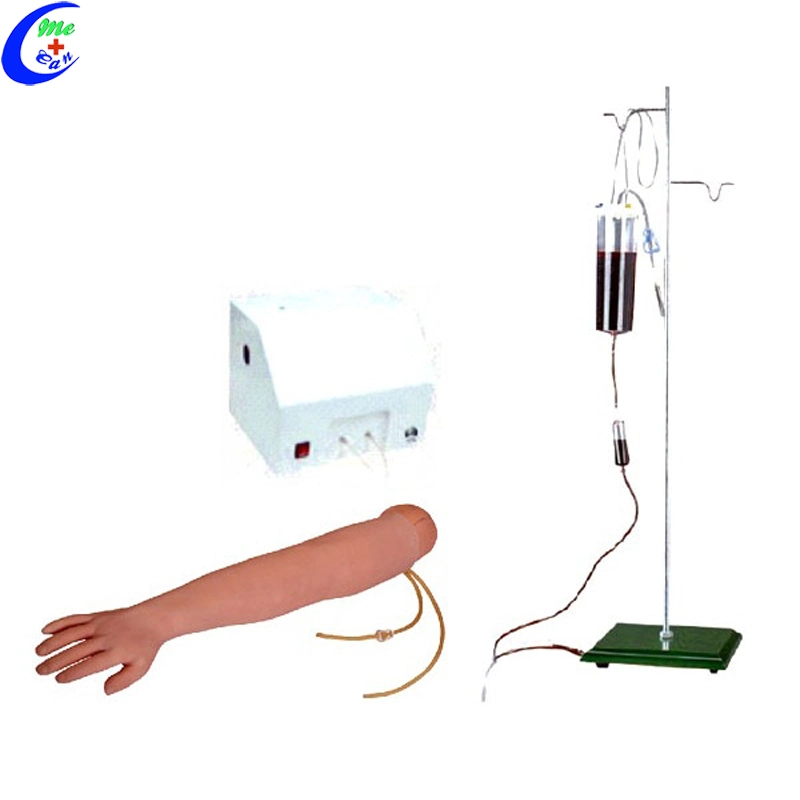 Human Body Venipuncture Training Arm Model of Care for Medical Students