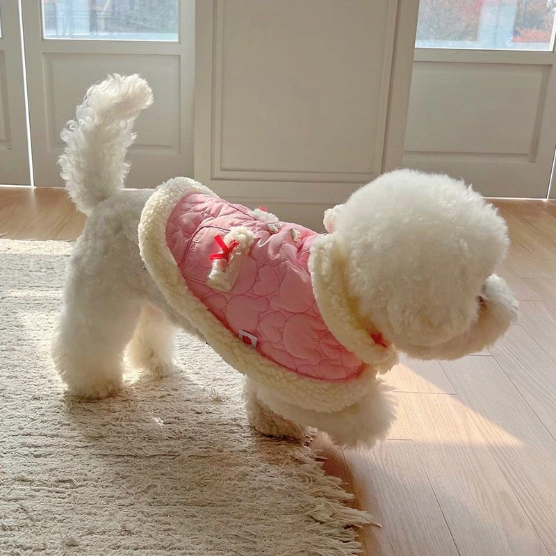 Traje de vestir de invierno de abrigo de perro de Bowknot de coral de moda