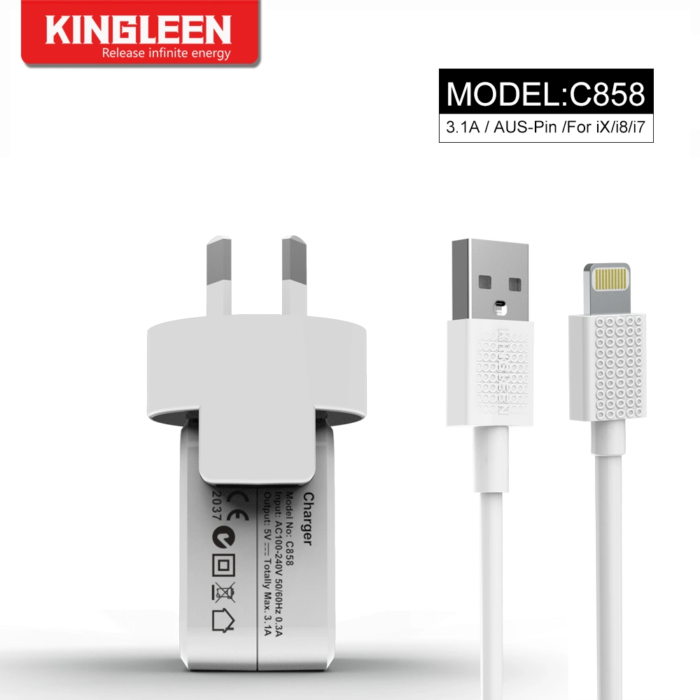 Bouchon de l'ASA à double paroi de l'iPhone chargeur de voyage USB avec câble de la foudre