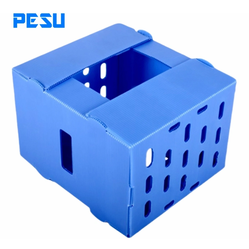Caja Coroplast y Caja para Embalaje reutilizable