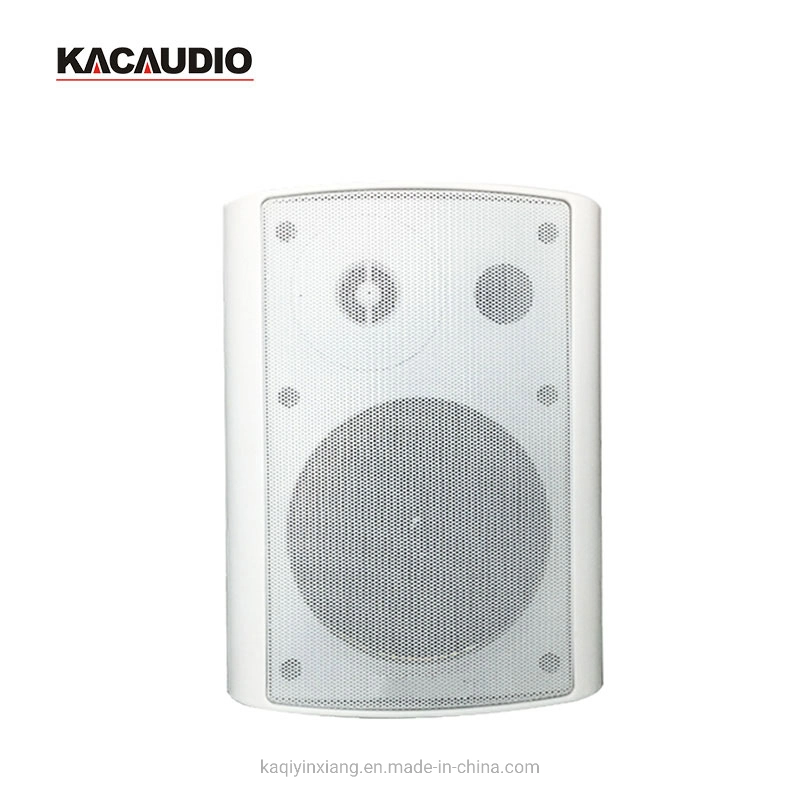 Indoor /Outdoor Mouted Passive Mounted Stereo Wall Speaker for Conference