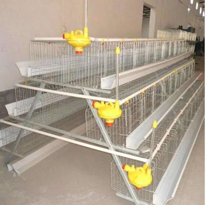 Hot Galvanized Egg Broiler Automatic Layer and Broiler Poultry Egg Farm Layer Chicken Cage