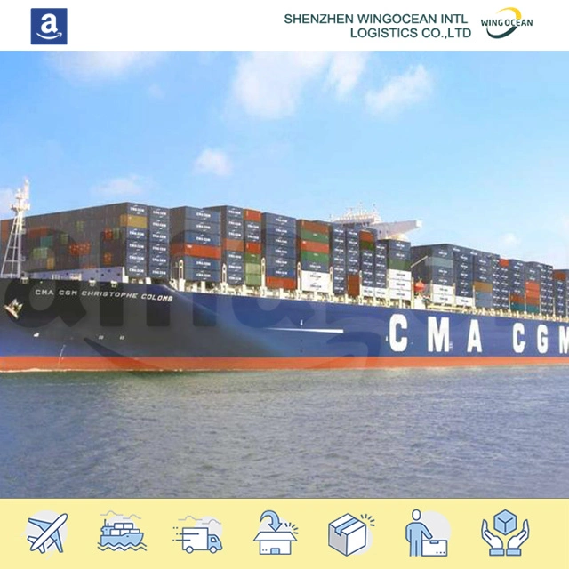 Logistics Service Shipping From China to Dubai/ Saudi Arabia/ Kuwait by Sea Freight Door to Door Shipment DDP DDU International Agency