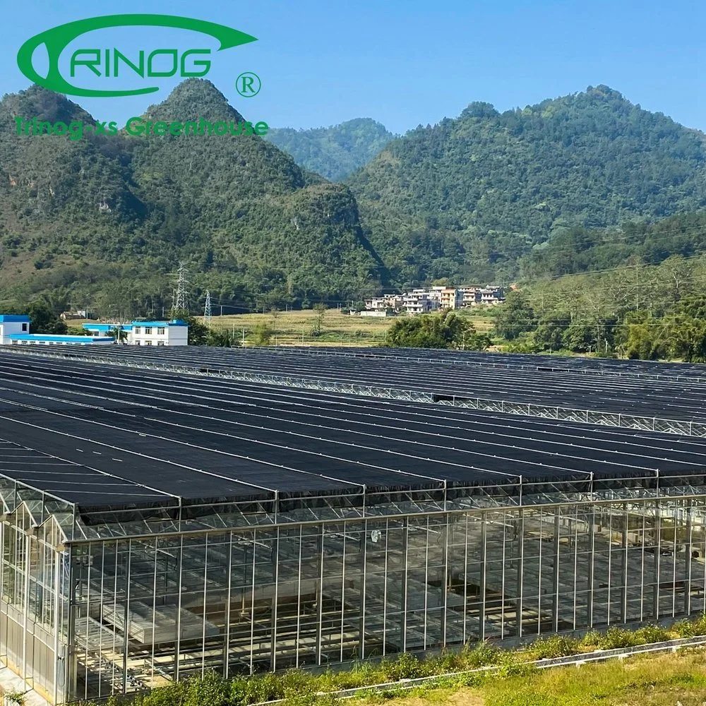 Inner Shading System Cooling Galvanized Steel Pipe Structure Glass Greenhouse for Vegetables