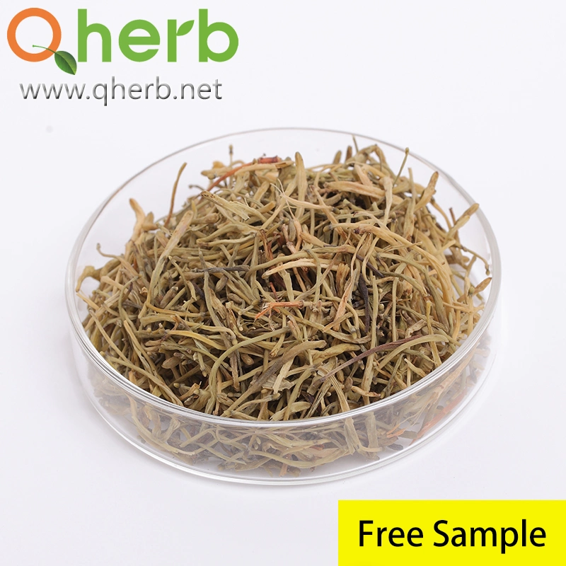 100% Natural Organic Chinese Medical Herb Chlorogenic Acid Honeysuckle Flower Lonicera Japonica Extract Free Sample