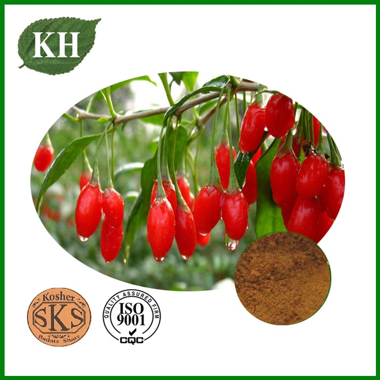 Pure Natural Wolfberry Extract Polysaccharides 50%; Goji Powder