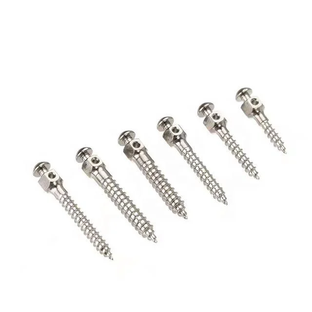 Biom Small Head Dental Implant Titanium Alloy Micro Orthodontic Anchorage Screw