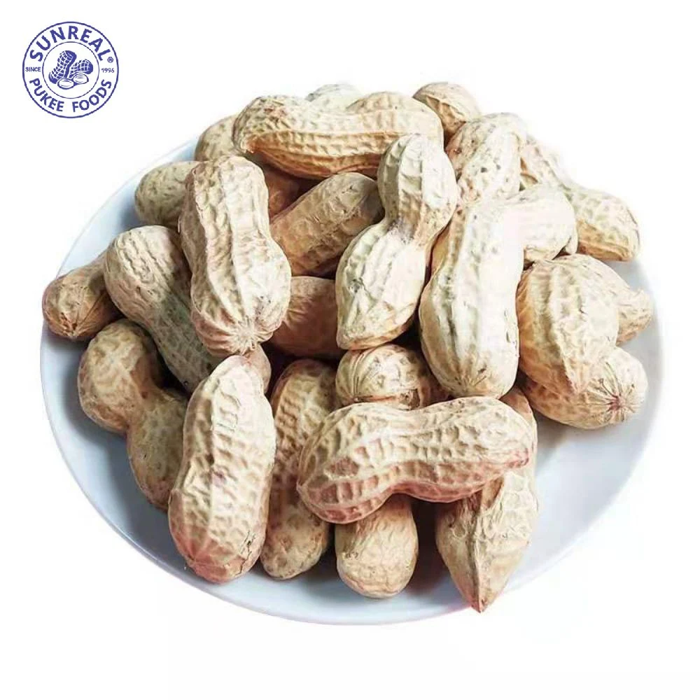 Raw Peanut Inshell /China /New Crop 9/11