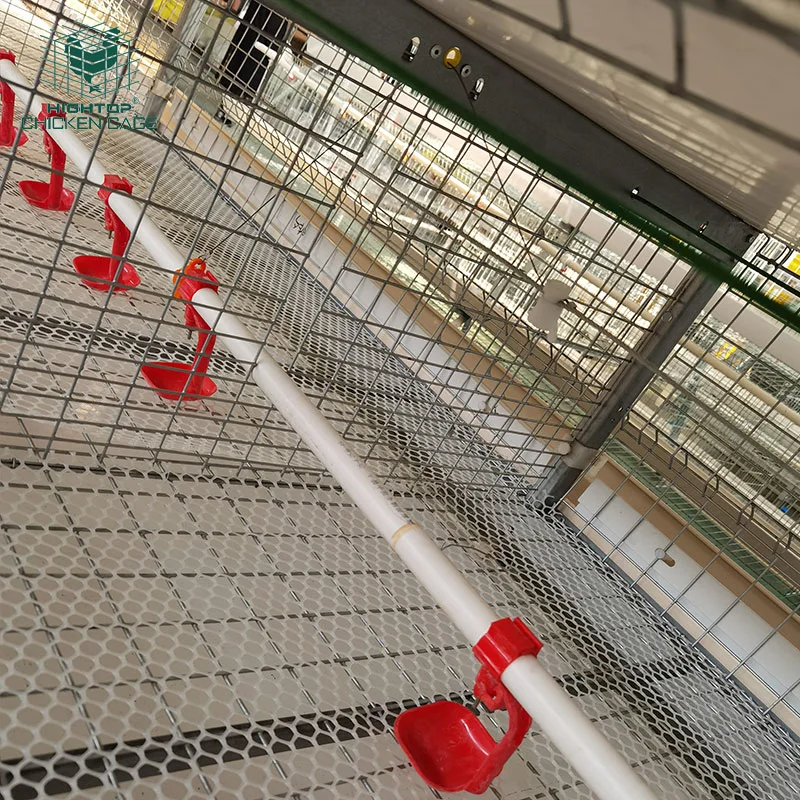 Lebensdauer 20 Jahre H Typ 4 Tiers Vollautomatisch Akku-Broiler Chicken Cage