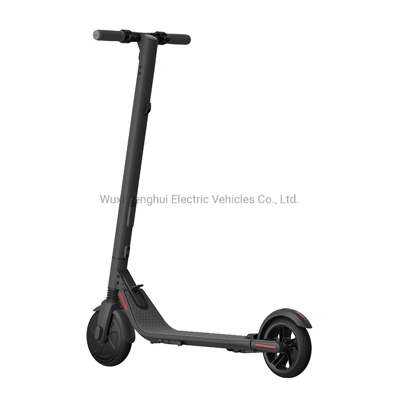 Electric Scooters China Supplier Electric Bicycle Cheaper Price Small Size Convenient Model