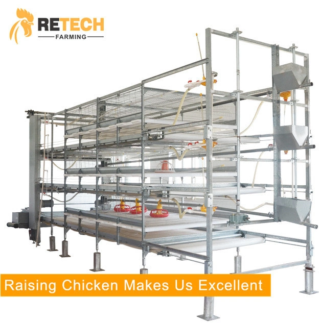 Diseño de Retech pollo broiler Equipo para avicultura Equipo para la venta de jaulas en batería