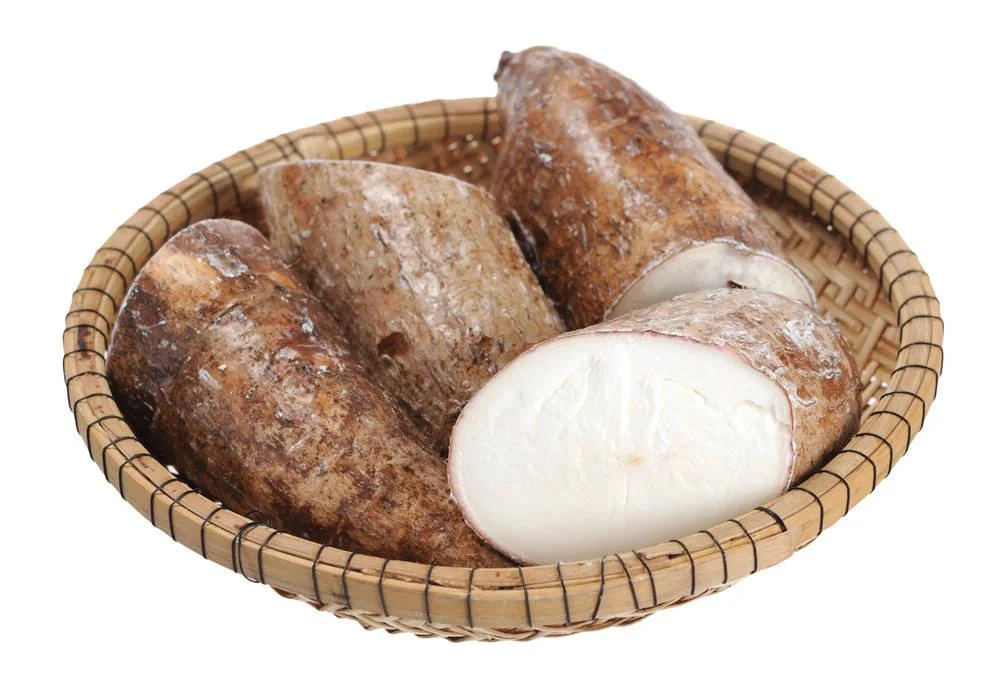 Custom High Quality Best Selling 40% Isoflavones Cassava Extract