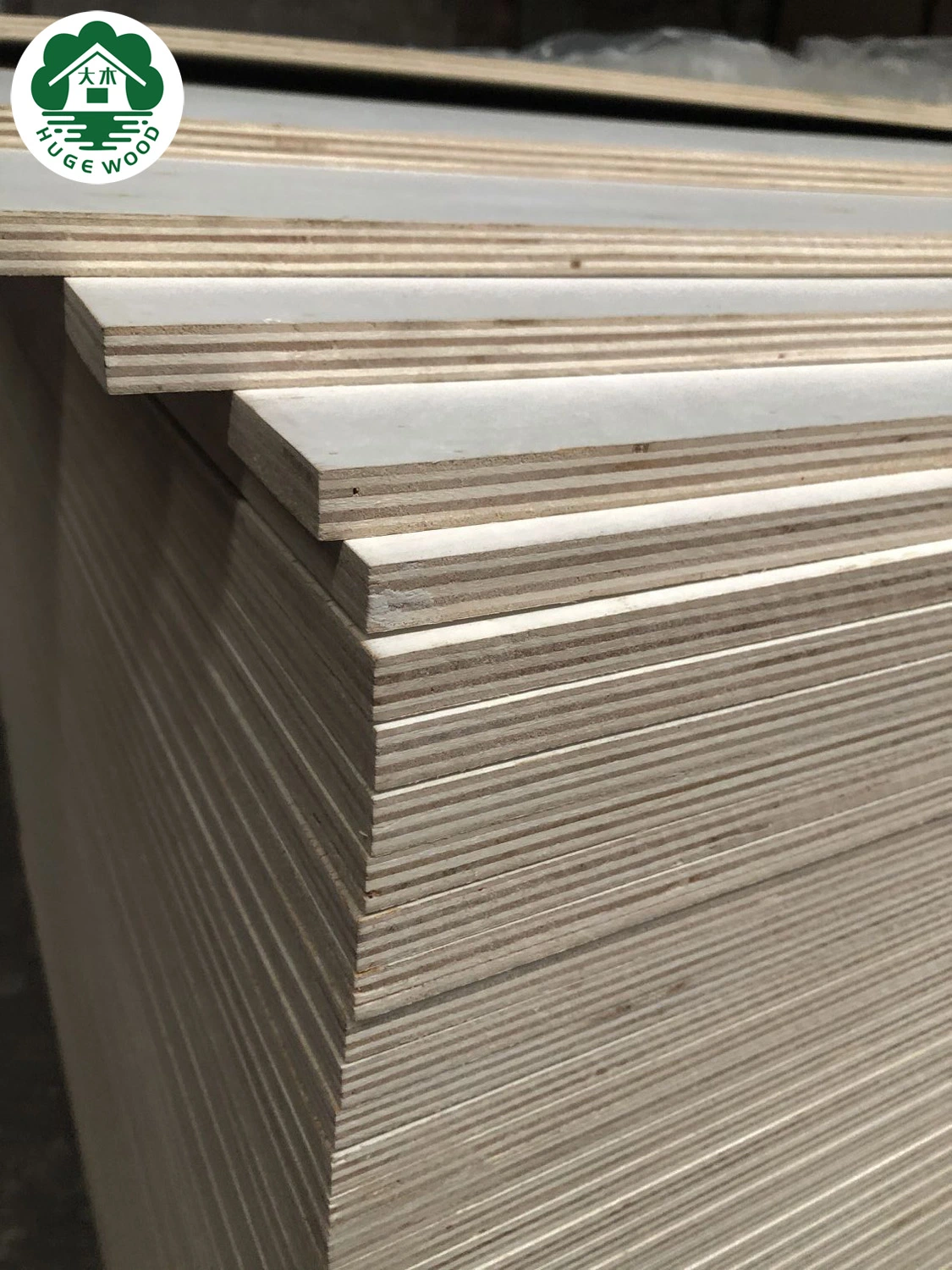 Oak Poplar Veneer Plywood Board with Melamine Paper Plywood Sheet