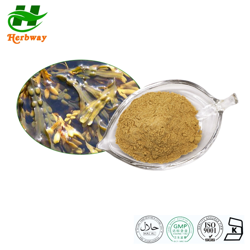 Herbway Factory Direct Sale Botanical Extract Bladderwrack Extract Fucoxanthin Natural Pigment