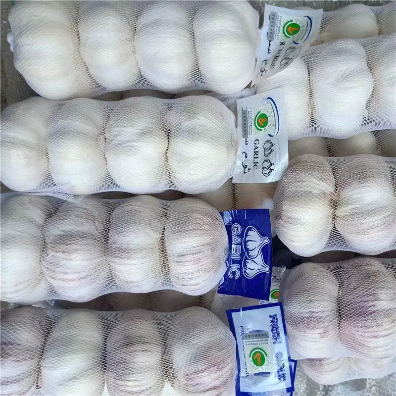 New Crop Normal White Garlic