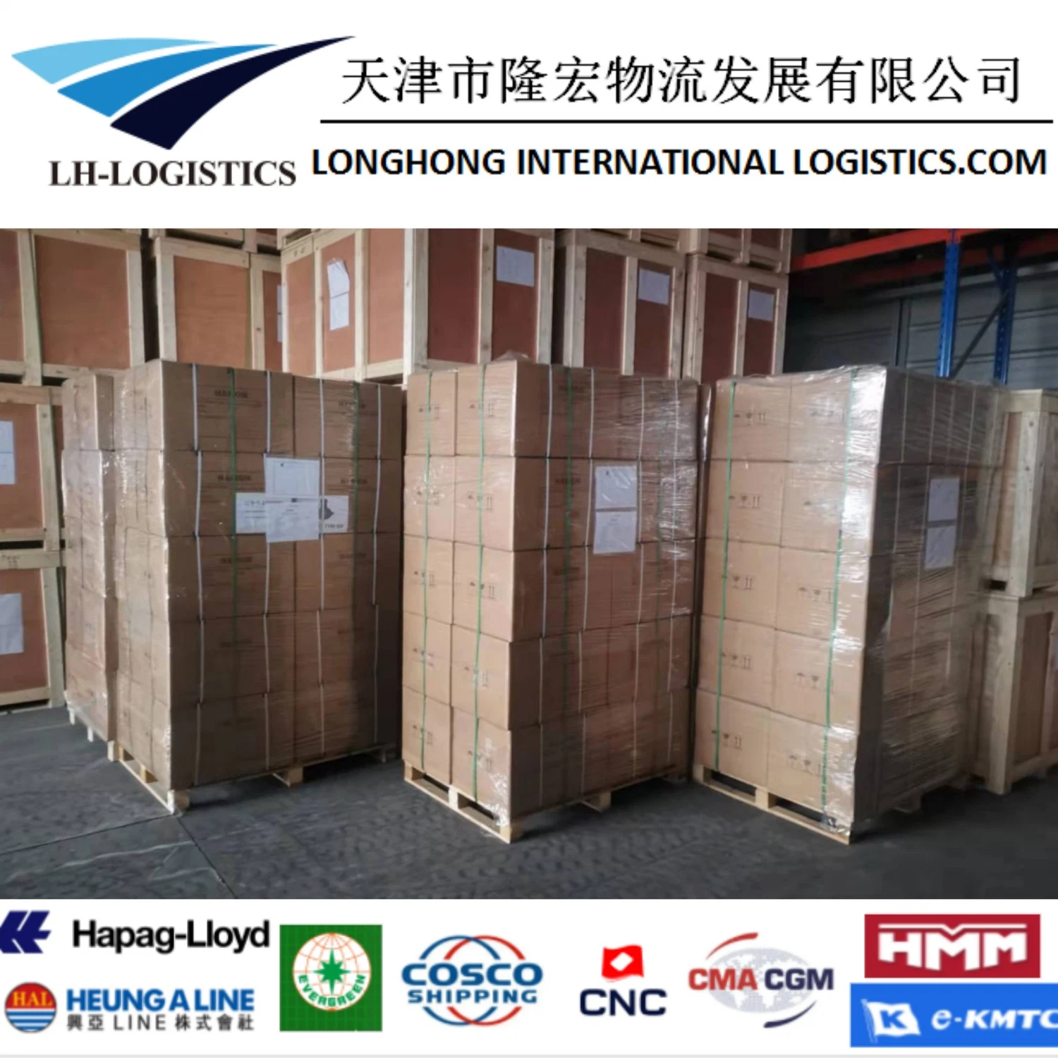 Professional Shipping Service From China to Uzbekistan, Tajikistan, Kyrgyzstan, Kazakhstan, Turkmenistan, as Well as Train Transportation