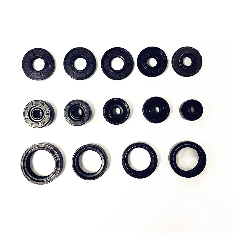 Cog Rubber Shock Absorber Oil Seal Tc/Sc NBR/FPM O Ring Gasket for Spare Parts